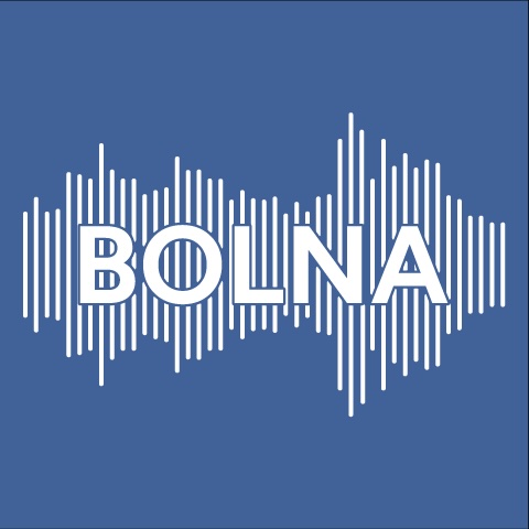 Bolna AI