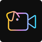 Videoinu