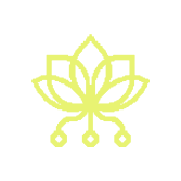 Pollinations