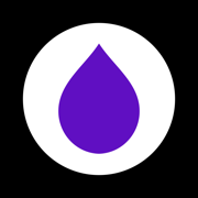 Layer AI