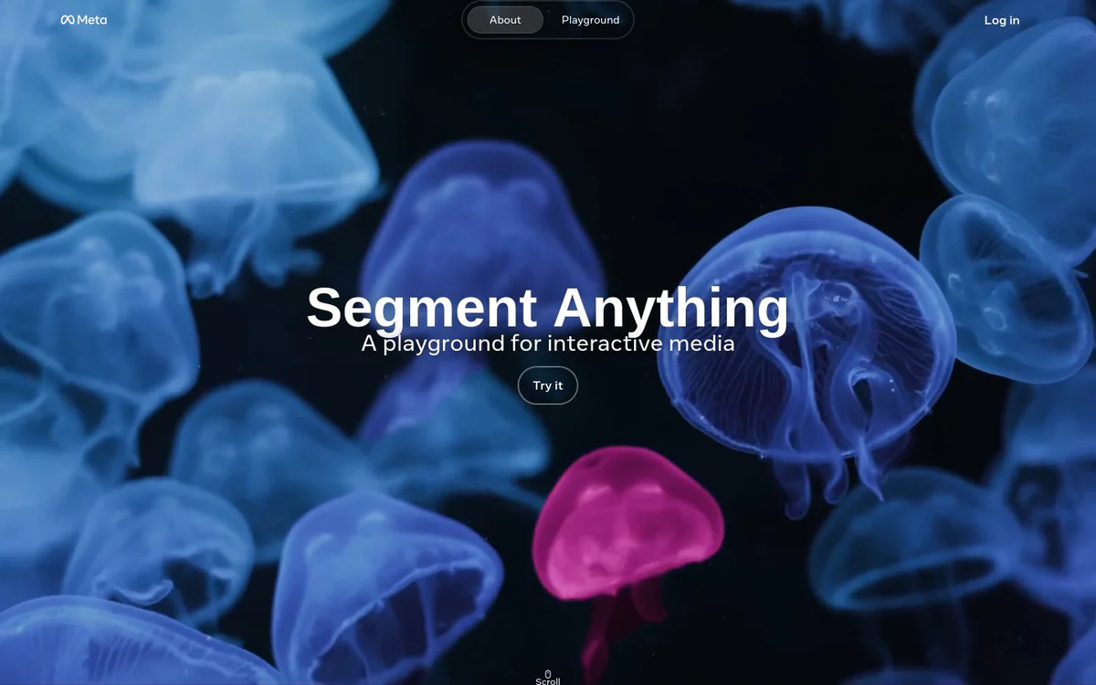 Segment Anything Model (SAM)