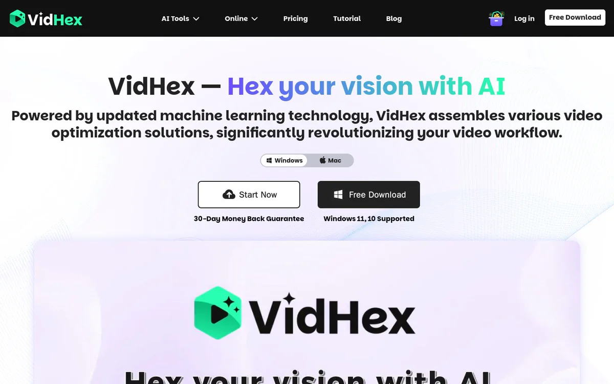 VidHex AI Video Enhancer